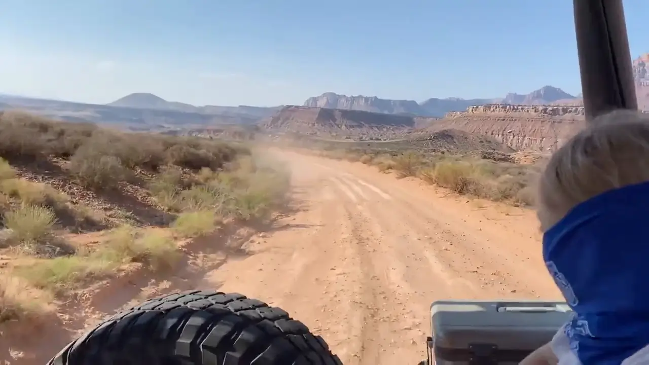 Goose berry Mesa