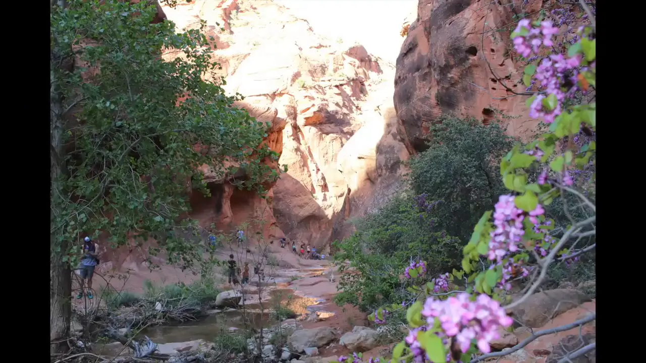 Red Cliffs Reserve